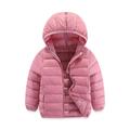 Kids Girls' Puffer Jacket Solid Color Active School Coat Outerwear 2-12 Years Spring Ash Taro purple Classic black