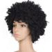 ERTUTUYI Wigs Curly Women Short Wig Wigs American for Synthetic Natural Black Wig