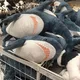 58CM Big Soft Simulation Cute Shark Plush Toys Kawaii Stuffed Kids Children Boys Girls Lovely Animal