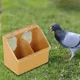 Automatic Feeder Pigeon Two Hole Hanging Cage Box for Pigeon Cage Pigeon Pairing Cage Breeding Cage