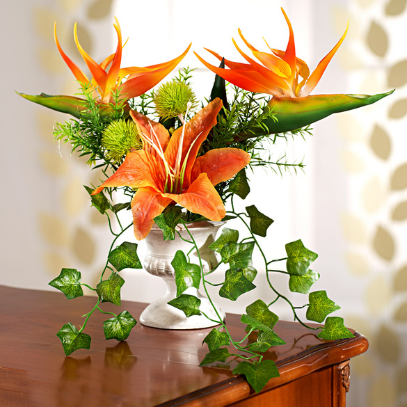 Strelitzia im Pokaltopf Image