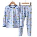 Kids Boys 2 Pieces T-shirt Pants Pajama Set Long Sleeve White Blue Sky Blue Dinosaur Crewneck Spring Fall Fashion Home 7-13 Years