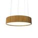 Accord Lighting Cilíndrico 1 - Light Unique Drum LED Chandelier Wood in Brown/Gray/White | 7.09 H x 19.69 W x 19.69 D in | Wayfair 231LED.09