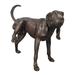 Metropolitan Galleries Bronze Dog Tinkling Fountain in Brown | 29 H x 18 W x 36 D in | Wayfair SRB075001