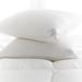 Scandia Home Lucerne Firm Down Sleep Support Pillow Down and Feathers/100% Cotton | 20 H x 30 W x 9 D in | Wayfair P943 Q WHITE