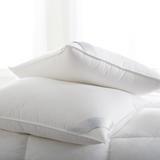 Scandia Home Bergen Medium Down-Free Sleep Support Pillow 100% Cotton | 20 H x 30 W x 6 D in | Wayfair P471 Q WHITE