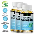 Greensure Marine Collagen Capsule for Radiant Skin Hair Nails Joints & Bones - 60/120 Capsules