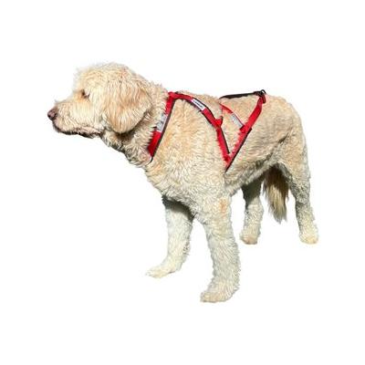 Labra Canine Bike & Skijoring Canicross Pulling Reflective Dog Harness, Red, X-Large
