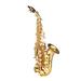 GoolRC Bb Soprano Saxophone Gold Lacquer Brass Sax with Cleaning Cloth and Brush Ideal for Musicians and Beginners