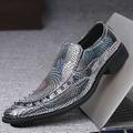 Per uomo Mocassini e Slip-Ons Scarpe da sera Scarpe scozzesi stile britannico Collezioni di feste Scarpe metalliche Informale Formale Matrimonio Serata e festa Festa di San Patrizio Vernice Mocassino