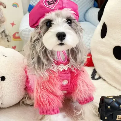 Winter Fleece Haustier Hund Kleidung warm für kleine Hunde luxuriöse Hund Pullover süße Liebe Knopf Image