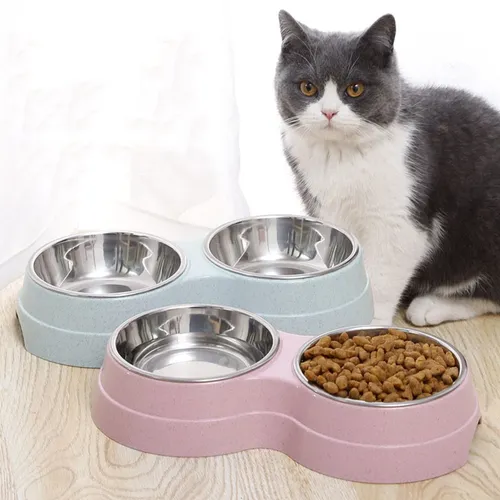 Katze und Welpe Haustier Fütterung liefert zwei Schalen Hundefutter Wasser fütterung schüssel