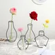 Retro Eisen Linie Blumen Vase Metall Anlage Halter Moderne Solide Home Party Dekoration DIY Nordic