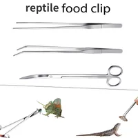 3 Stück Reptilien-Lebensmittel clip