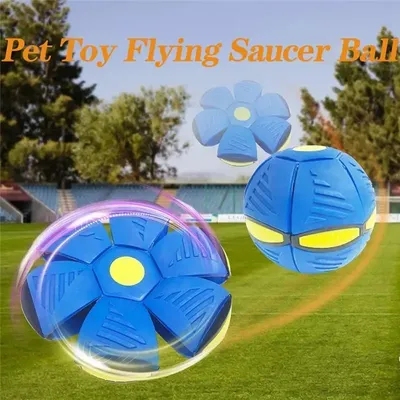 Haustier Spielzeug fliegende Untertasse Ball magische Verformung Ball Frisbee Hund Flugs ch eiben