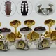 1 set echt (gold/nickel) V97-18 vintage gitarre maschinen köpfe tuner getriebe verhältnis 1:18-us