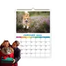 Tier kalender niedliche tägliche Tiere Wandkalender a4 Wandkalender Hunde kalender tägliche Wand