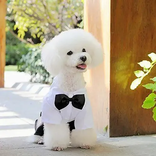 Hund Fliege Anzug Smoking Kostüm formelles Hemd mit Riemen Stoff stilvolle Haustier Kleidung
