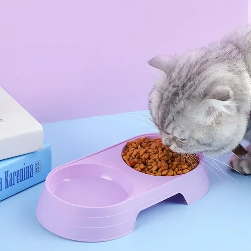 Macaron Haustier Doppels ch üssel Kunststoff Kätzchen Hundefutter Trink tablett Feeder Katze