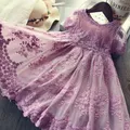 Mädchen Kleid Kinder Kleider für Mädchen Mesh lässig Spitze Stickerei Prinzessin Baby Mädchen