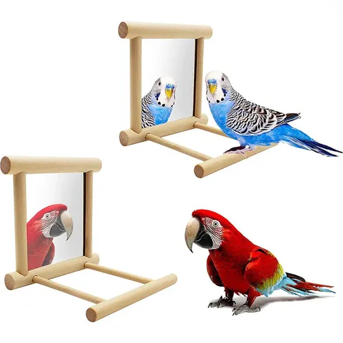 Holz Haustier Spielzeug Spiegel Spaß Brid Spielzeug für Nymphen sittich Papageien kleine Vögel