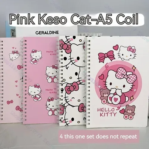 Ein Satz von 4 Büchern Sanrio Hallo Kitty Cartoon Notizbuch A5 Spule Notizbuch Student Notizbuch