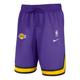 Nike Therma flex NBA Los Angeles Lakers Basketball Shorts Men's Global Purple
