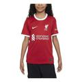 (GS) Nike Dri-FIT Liverpool FC 2023/24 Stadium Home Soccer Jersey 'Red'