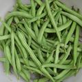 Climbing French Bean Cobra Vegetable Seeds - Sow in Summer 20 Organic