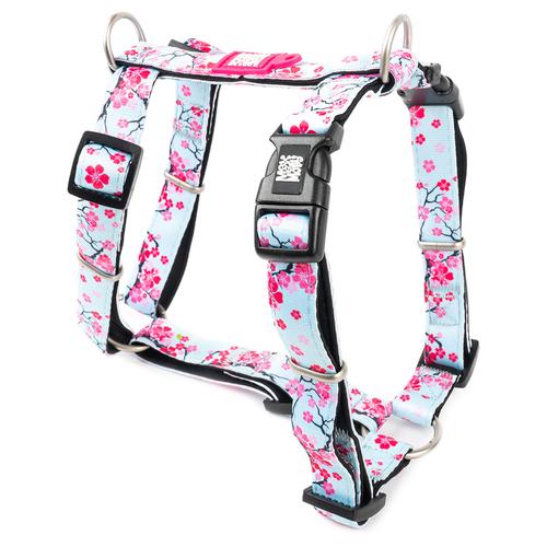 Max & Molly H-Geschirr Cherry Bloom M: 53-69cm Brustumfang Hund