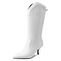 Womens Pointed High Heel Boots High Boots Winter Warm Ankle Boots Plush Long Boots Ladies Riding Boots Zip Up Leahter Warm Snow Boots Non-Slip Sole (White 2.5 UK)