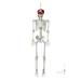 5.4ft Full Body Skeleton Props with Movable Joints for Halloween Party Decoration
