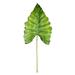 Vickerman 43 Artificial Green Calla Leaf 4/pk