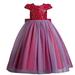 Dress Gift for Girls Girls Sequin Dress Party Toddler Baby Princess Dresses Little Girls Short Sleeve Wedding Gown Mesh Dress for Girls Save Big