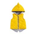 Bslissey Kids Baby Girls Hoodies Vest Coat Sleeveless Hooded Cartoon Dinosaur Zipper Casual Puffer Jacket Little Girls Winter Warm Outerwear 6M 12M 2T 3T 4T 5T 6T 7T