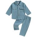 Wallarenear Baby Boy Cotton Linen Long Sleeve Button Down Shirt Tops Elastic Waist Pants