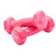 Dumbells Glossy Plastic Dipped Dumbbells For Men And Women Fitness Training Equipment Home Arm Lifting Arm Strength Dumbell Set (Color : Pink, Size : 2kg)