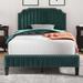 Beige Linen Curved Upholstered Platform Bed with Solid Wood Frame, Nailhead Trim (Full)