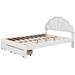 epoch Upholstered Platform Bed w/ Seashell Shaped Headboard, LED & 2 Drawers | Queen | Wayfair HHH-GX001328AAK