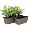 Bay Isle Home™ Kerrigan 2-Piece PP Frame & PE Wicker Weave Pot Planter Set Plastic in Gray | 6.3" H x 23.2" W x 7.1" D | Wayfair