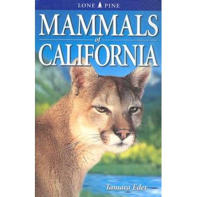 Mammals Of California