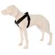 PatentoPet® Sport harnais & laisse, noir taille XL tour de poitrine chien 71-96cm