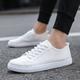 Men's Sneakers Oxfords Skate Shoes Classic Sneakers White Shoes Walking Casual Daily Canvas Lace-up Black White Fall Winter