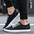 Men's Sneakers Oxfords Skate Shoes Classic Sneakers White Shoes Walking Casual Daily Canvas Lace-up Black White Fall Winter