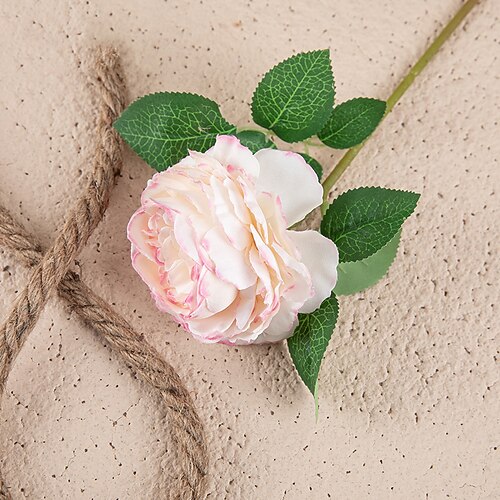 5 Stück Western Rose Kern Pfingstrose Einzelkopf Simulation Blume Wohnkultur Hochzeit Tragbare Blume Künstliche Blume Weihnachtsgeschenk Image