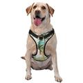 Coaee Watercolor Palm Tree Dog Harness&Pet Leash Harness Adjustable Dog Vest Harness For Training Hunting Walking Outdoor Walking- X-Large