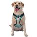 Coaee Teal Mama Llama Dog Harness&Pet Leash Harness Adjustable Dog Vest Harness For Training Hunting Walking Outdoor Walking- Large