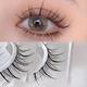 Transparent Stem False Eyelashes, Wavy Lashes False Eyelash Extensions Makeup Beauty Cosmetic