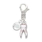 Delight Jewelry Silvertone 3-D Tooth - - Silvertone Clip on Charm with Clear Crystal Drop