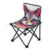 Lion Abstract Portable Camping Chair Outdoor Folding Beach Chair Fishing Chair Lawn Chair with Carry Bag Support to 220LBS